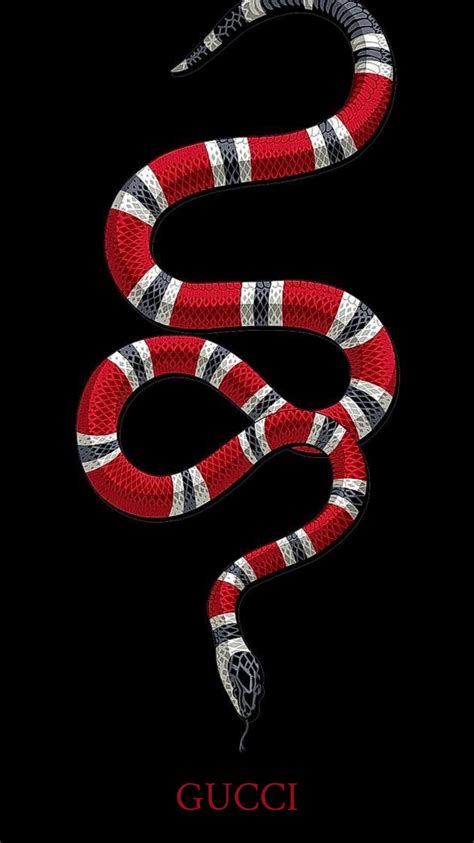 gucci png snake|Gucci snake desktop wallpaper.